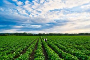 Farmer Job in USA