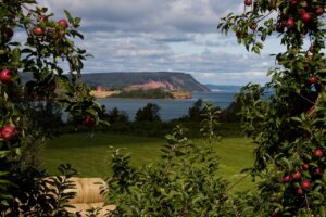 Farmer Job in Australia